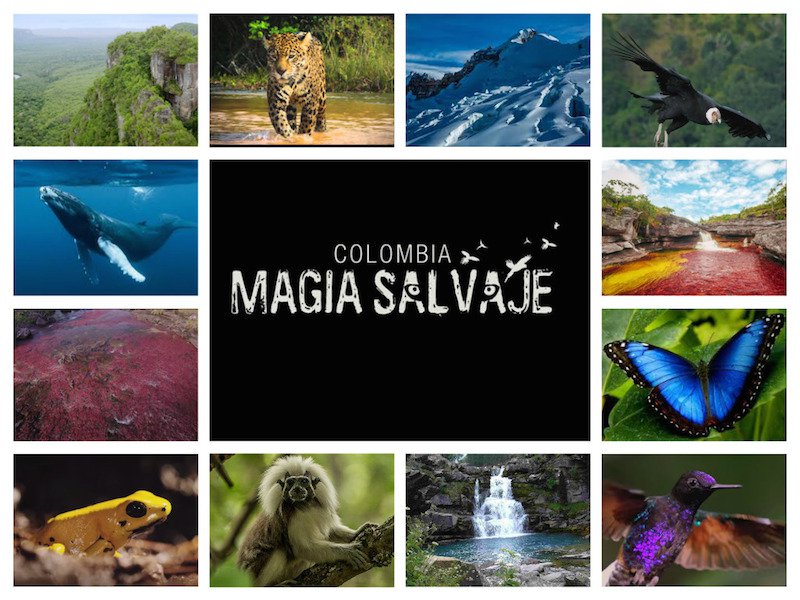 2015 Colombia: Wild Magic