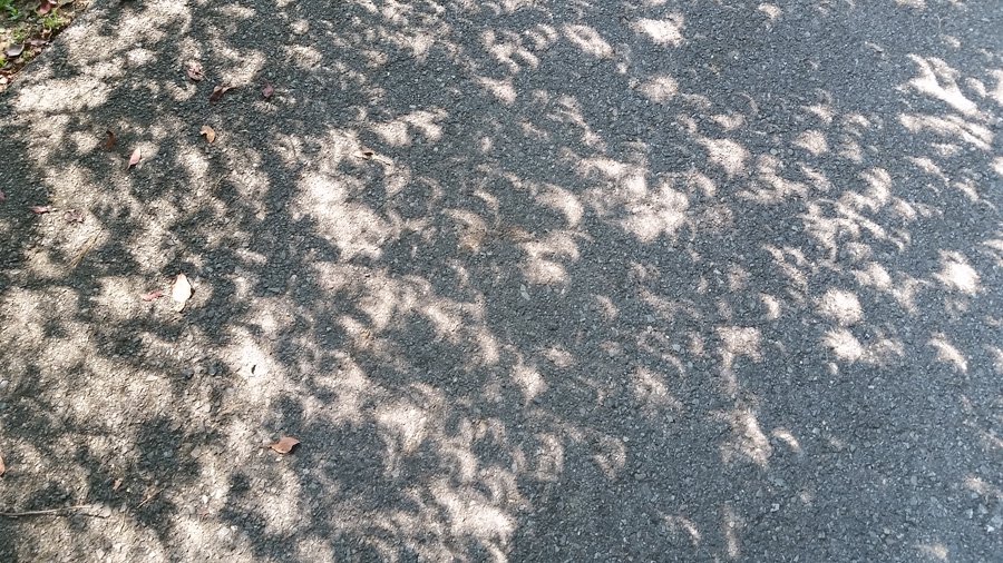 eclipse_shadows.jpg