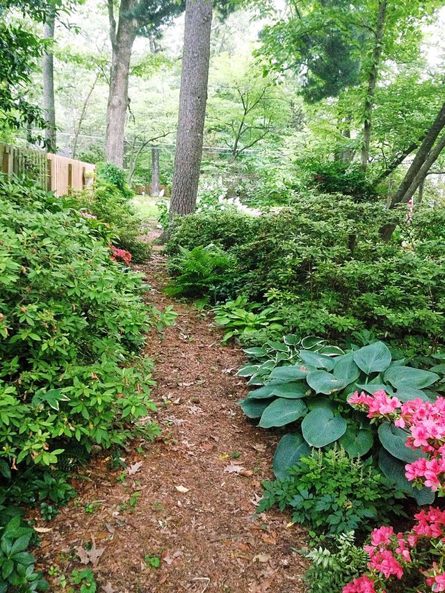 path in Rea's woodland garden.jpg