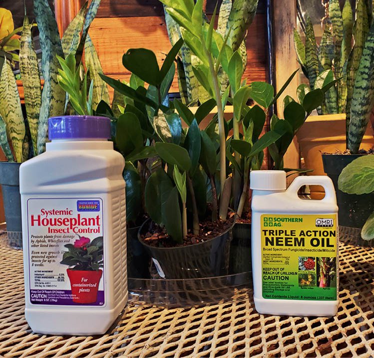 HOUSEPLANT_PRODUCTS.jpg