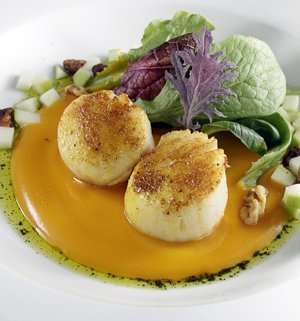 Curry-dusted scallops over butternut squash puree