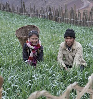 Hailai Yiti and his daughter Hailai Ermen cut fodder near their home in Waxi village, China.