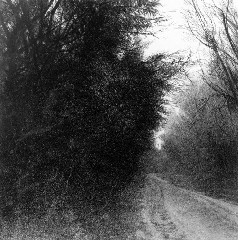 calendar_Jeanne seagle-LR-Road-Into-Dark-Woods-charcoal-wax-pencil-on-paper-18x18-26x26-3200-768x772 courtesy L Ross Gallery.jpg