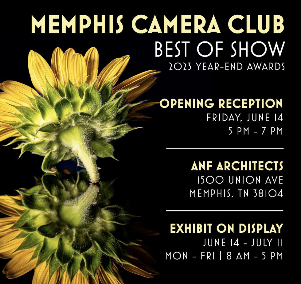 04 Memphis Camera Club_ Best of Show 2023.png