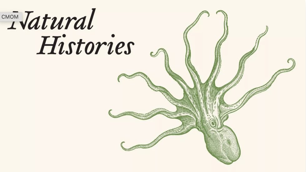 05 Natural Histories- 400 Years of Scientific Illustration.png