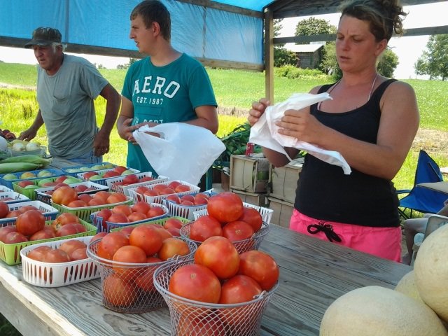 Maw &amp; Paw’s farm stand on Highway 51 sells summer produce, including tomatoes, outside of Ripley, Tennessee.