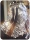 ... and here it gets complicated. Foil for the ombre and hand painting skillz wrapped in plastic for the balayage.