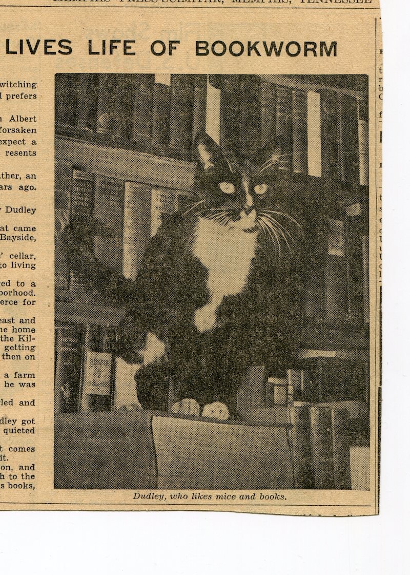 Dudley-BookstoreCat-1941-blog.jpg