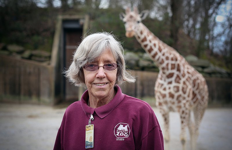 above: The Keepers takes viewers behind the scenes at the Memphis Zoo.